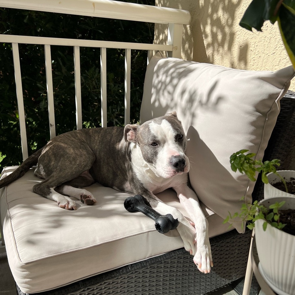 Meet your Posher, Dana